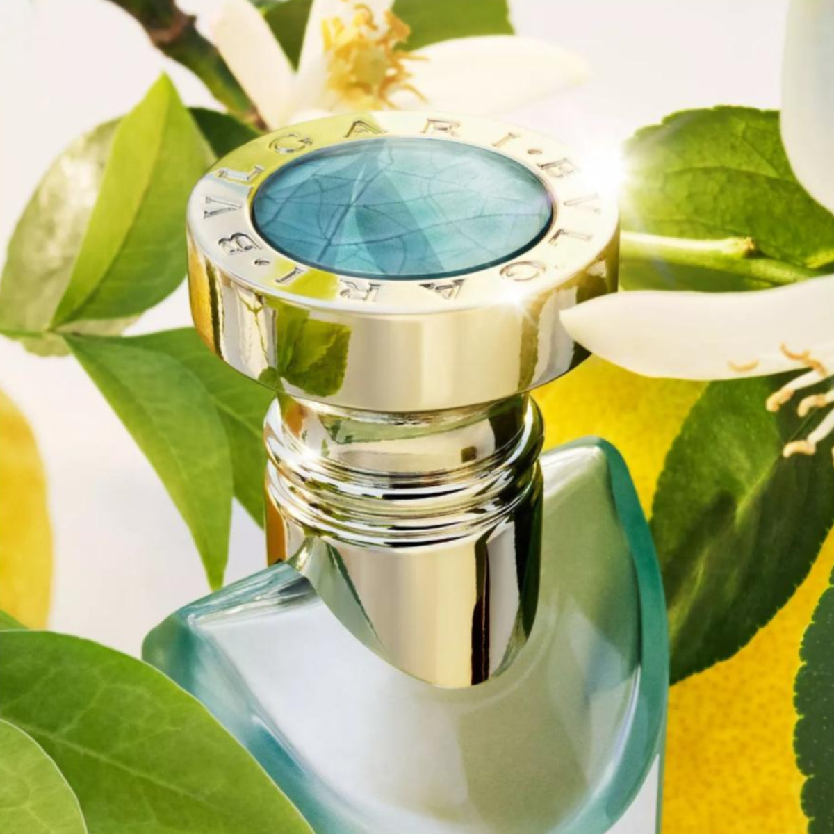 Ladies Eau Parfumée Thé Vert Eau de Toilette – Edgars