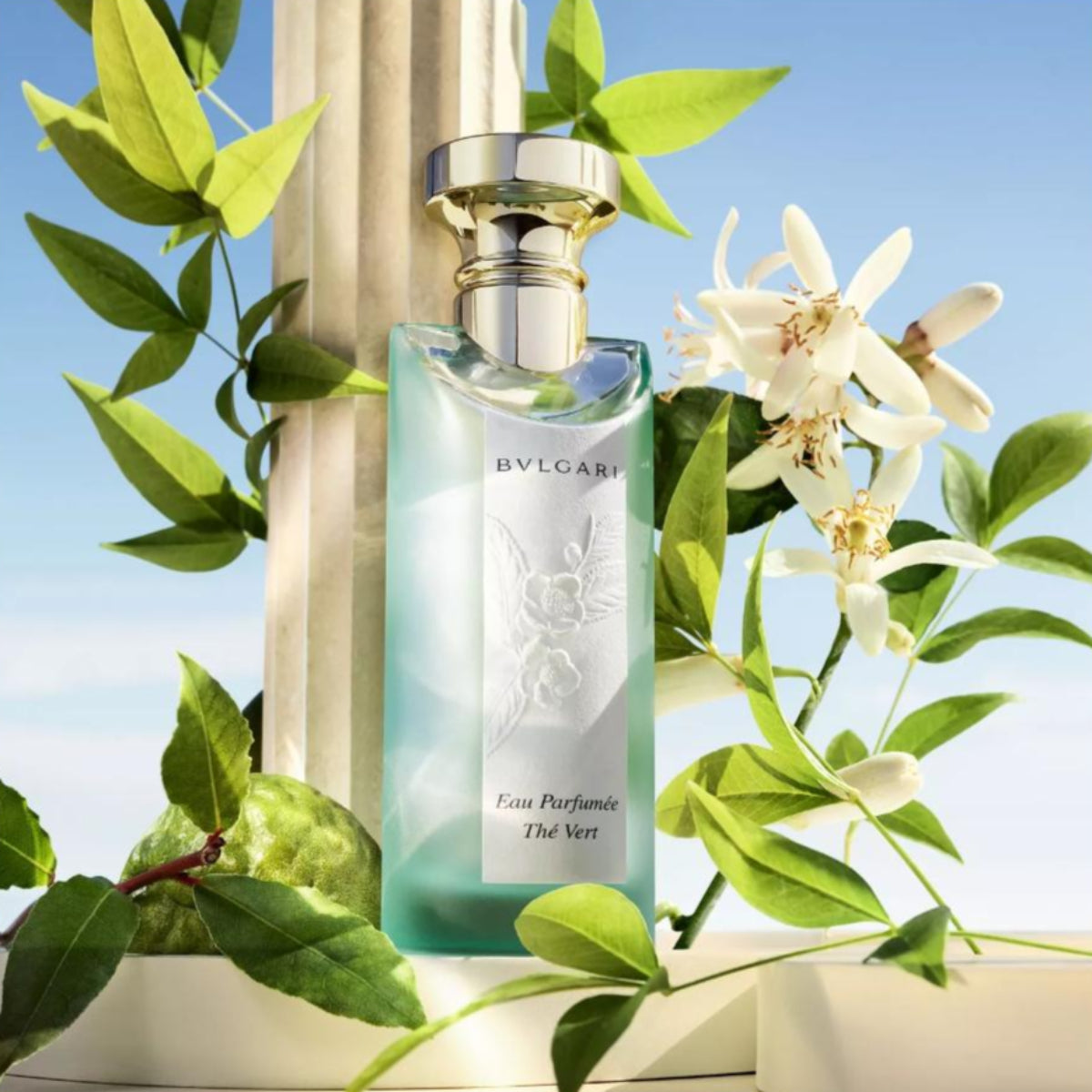 BVLGARI Eau Parfumée au thé vert Extrême Ladies Eau Parfumée Thé Vert Eau de Toilette – Edgars