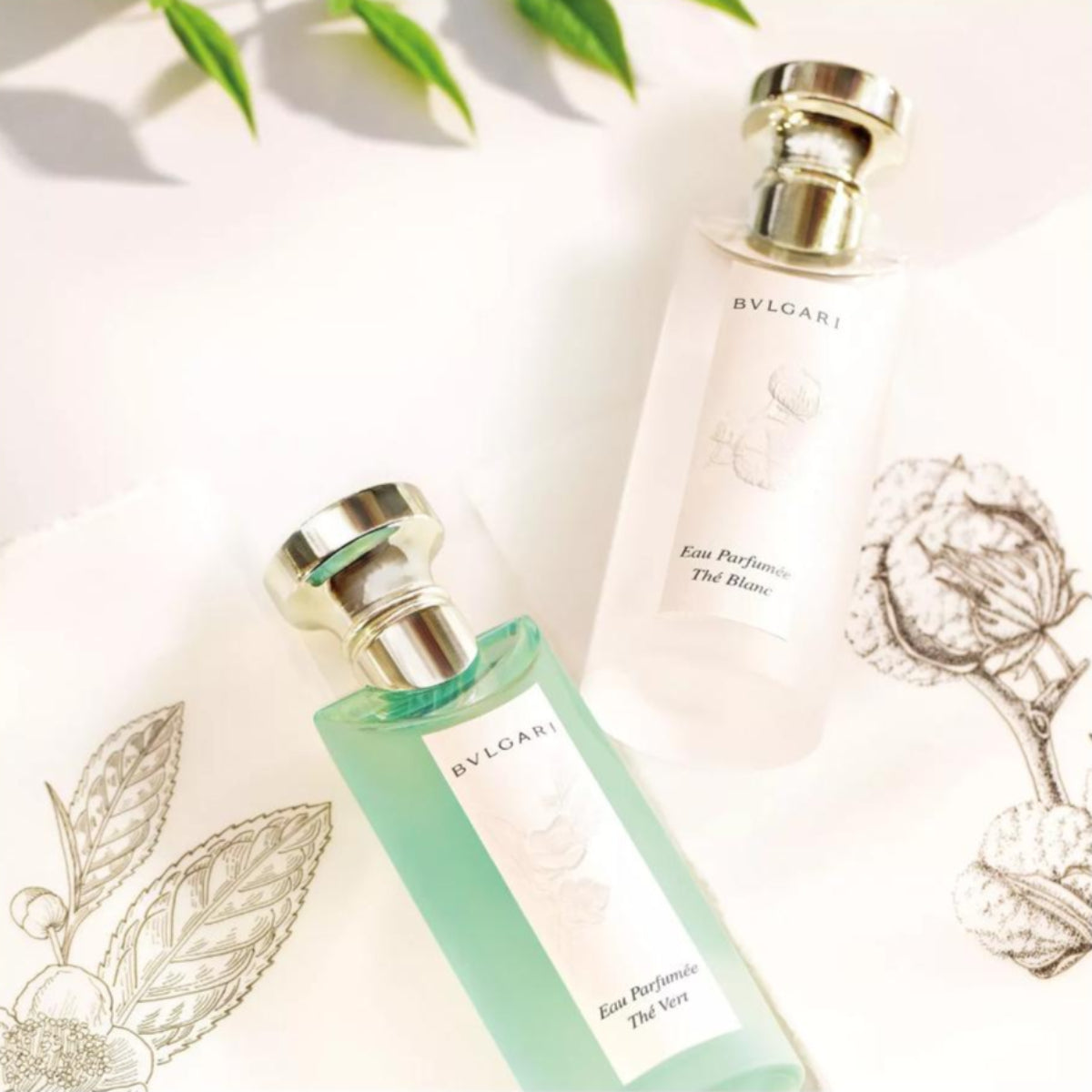 Ladies Eau Parfumée Thé Vert Eau de Toilette – Edgars