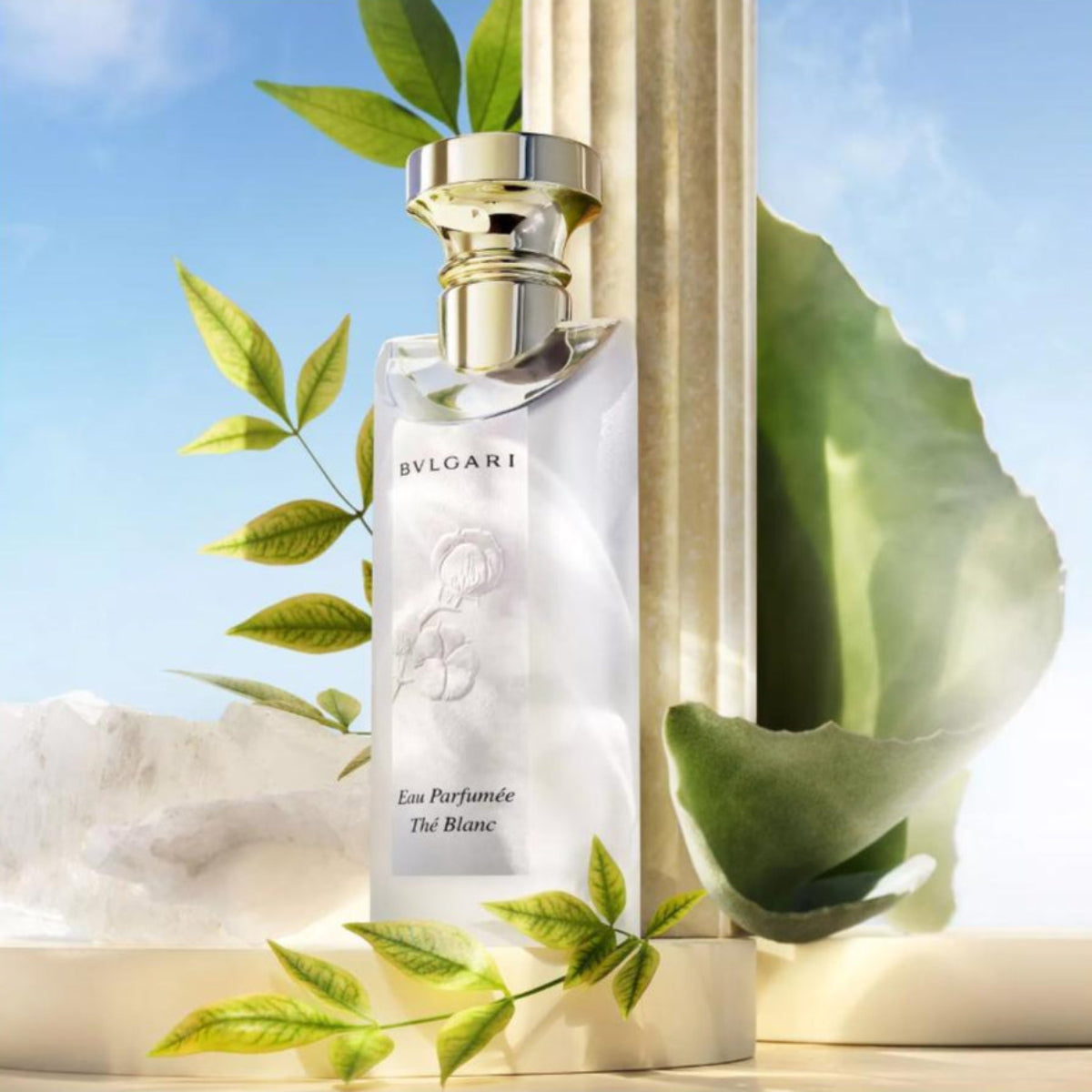 Ladies Eau Parfumée Thé Blanc Eau de Toilette – Edgars