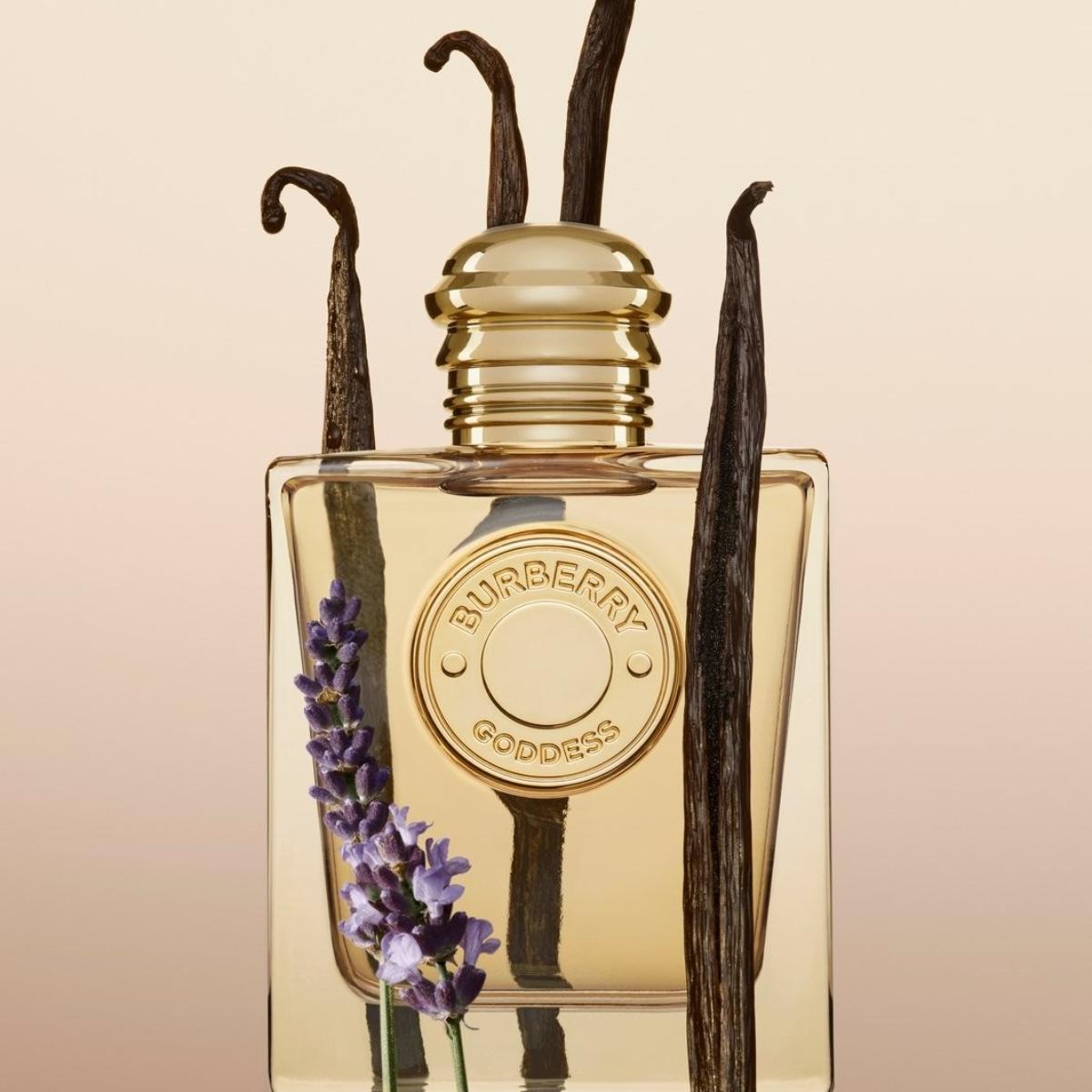 Ladies Goddess Eau de Parfum – Edgars