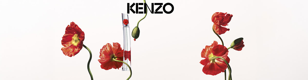 R Code Icon In Computer Kenzo – Edgars