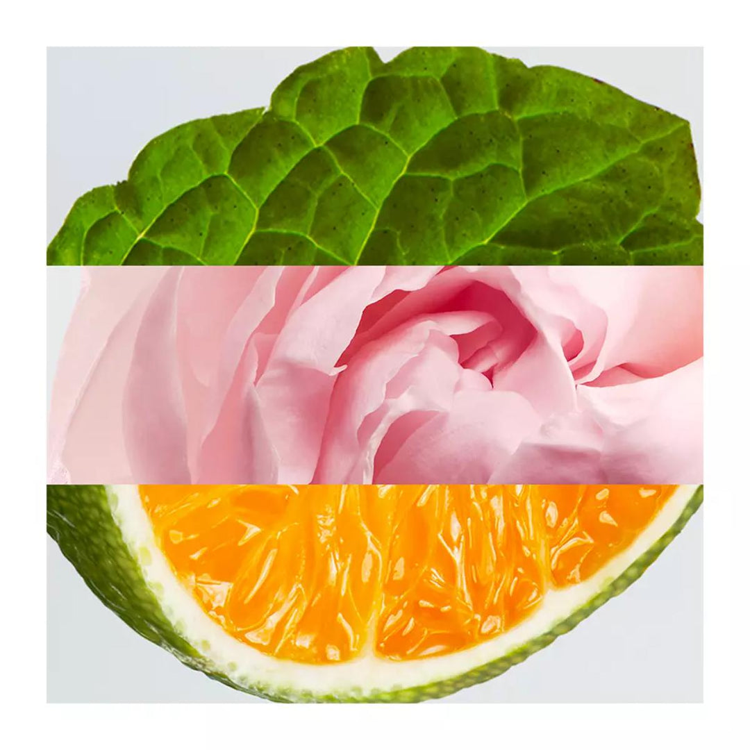 Lacoste L.12.12 Rose Eau de Parfum