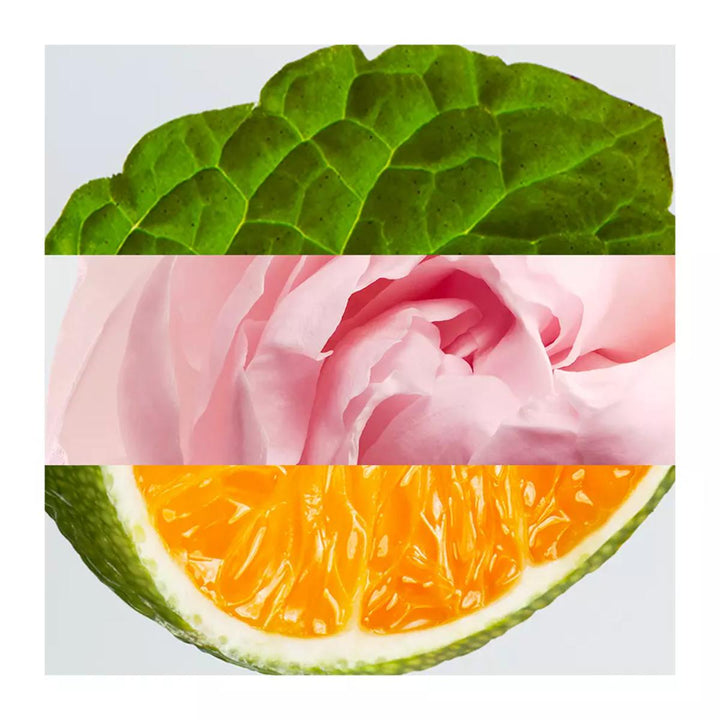 Lacoste L.12.12 Rose Eau de Parfum