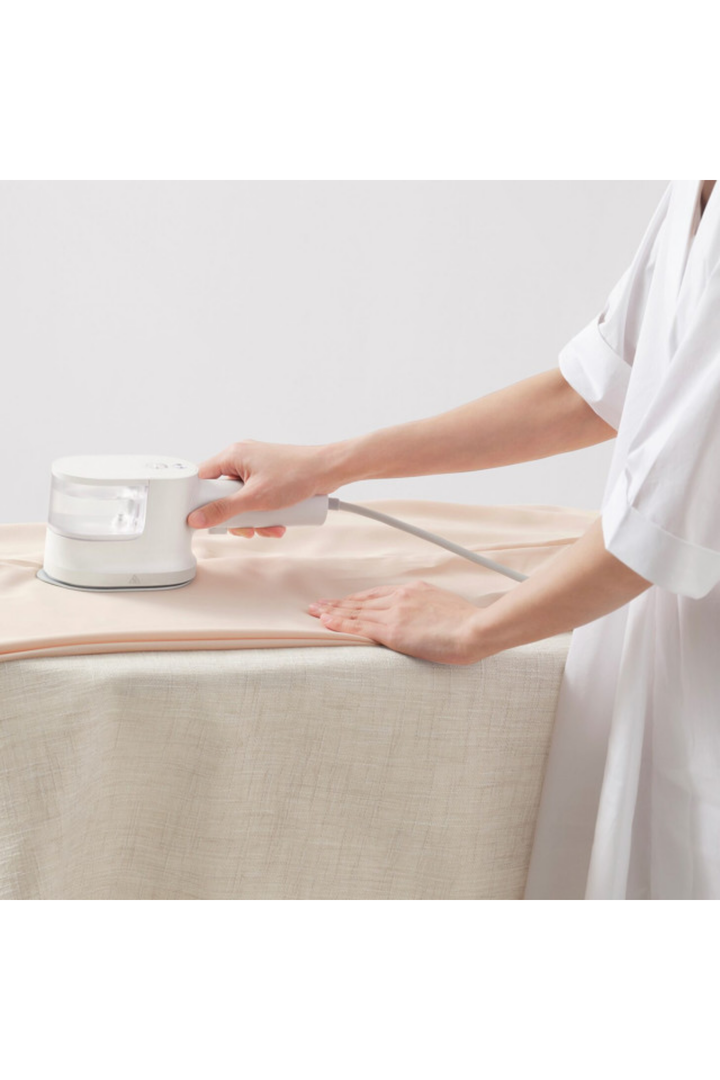 Steam Iron