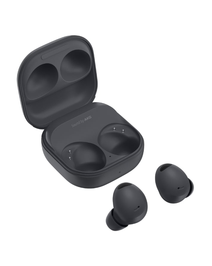 Galaxy Buds 2 Pro Grey – Edgars