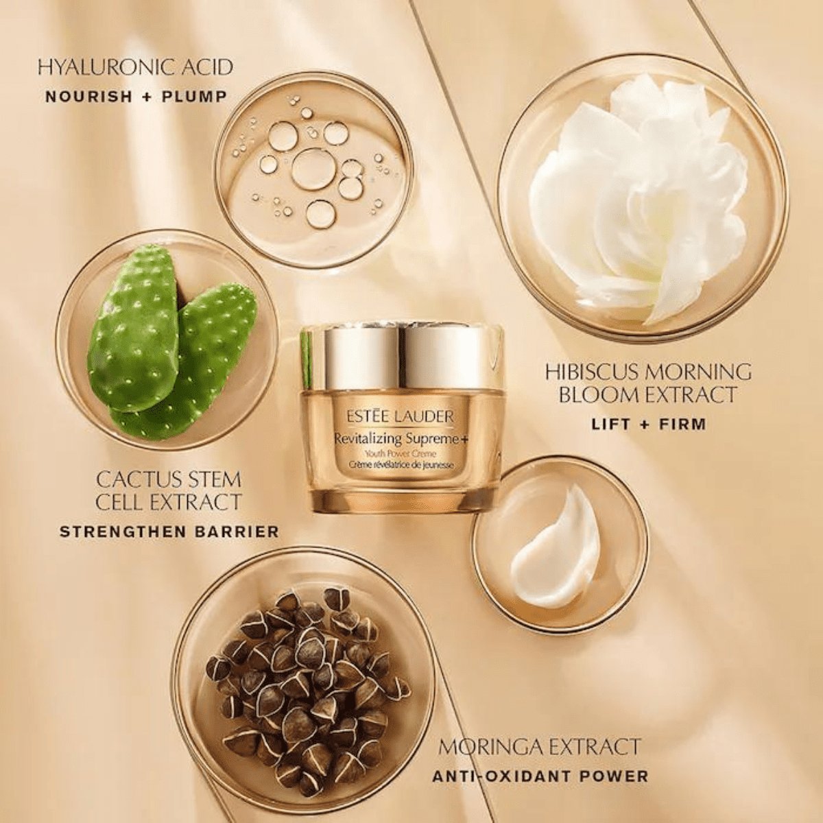 Revitalizing Supreme+ Youth Power Creme Moisturizer – Edgars