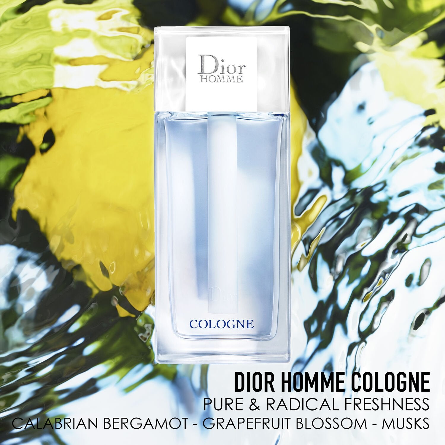 Mens Dior Homme Cologne 200ml – Edgars