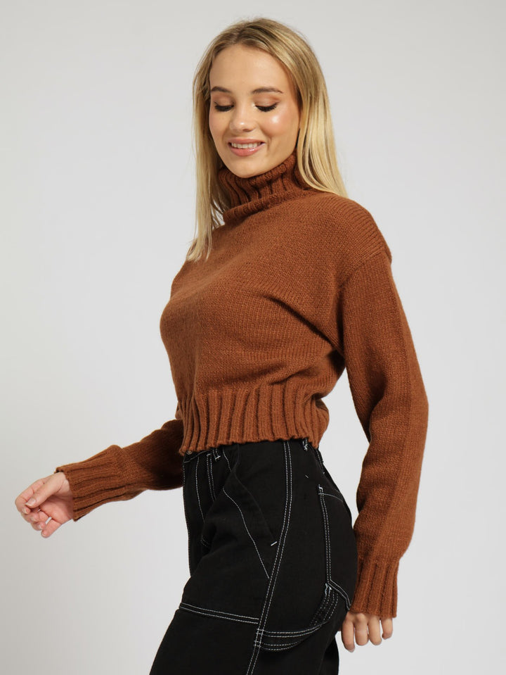 Plain Polo Neck Top - Brown