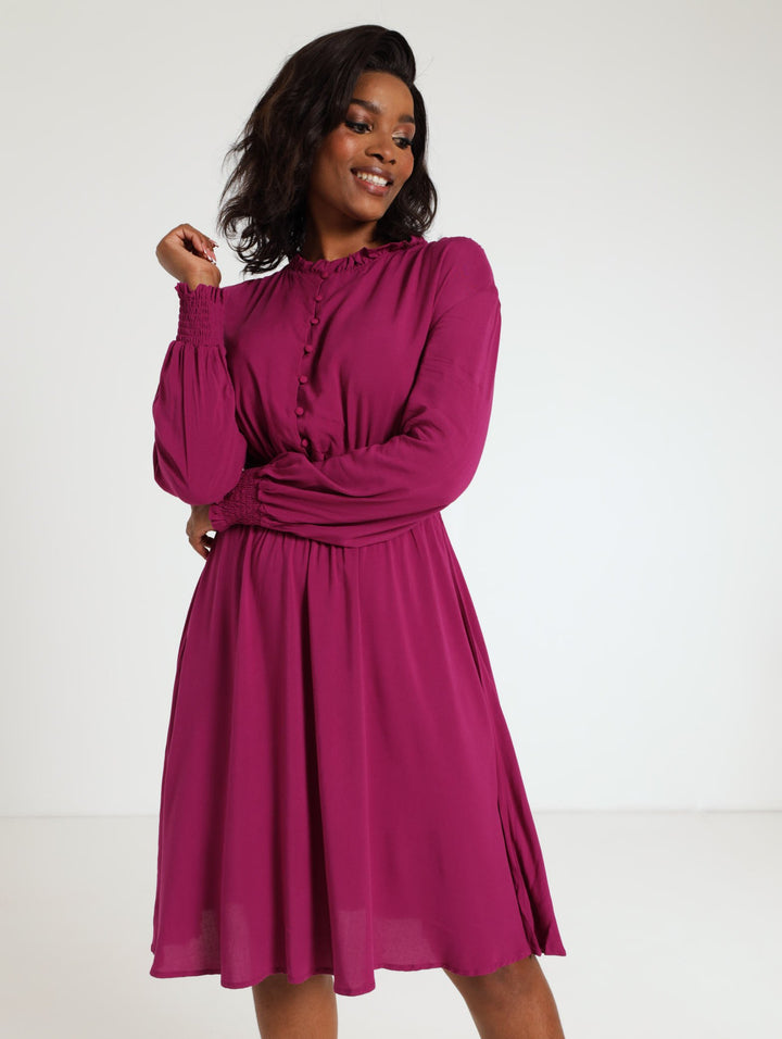 Long Sleeve Shirred Waisted Dress - Berry