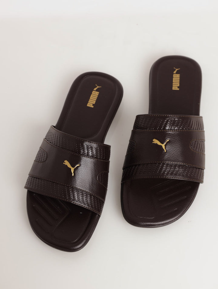 Men's Streetcat Sharp Sandal - Brown