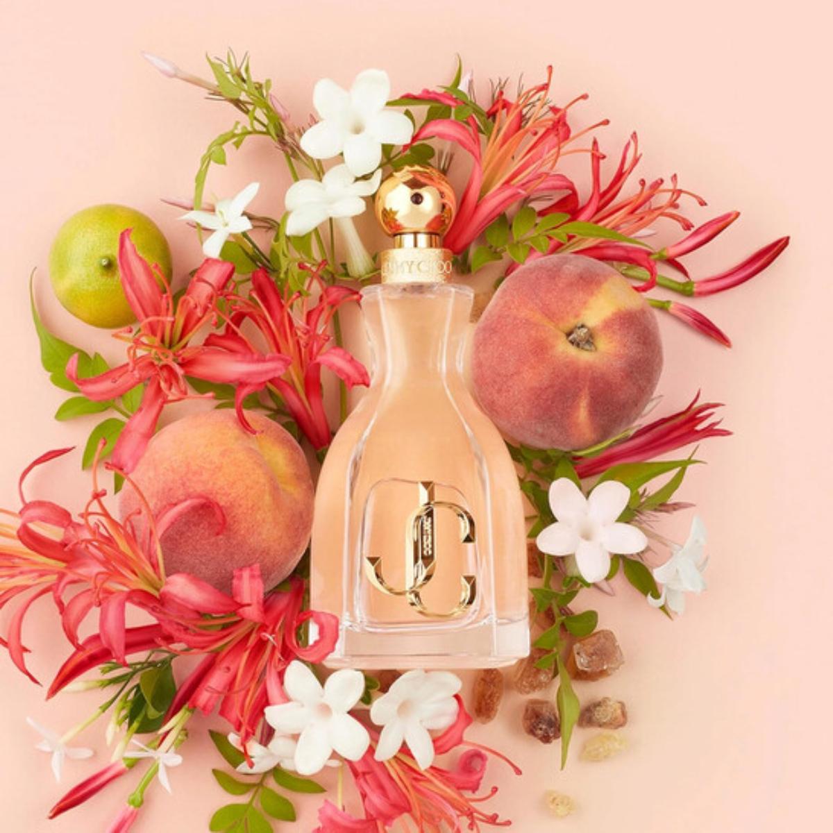 Ladies I Want Choo Eau de Parfum – Edgars