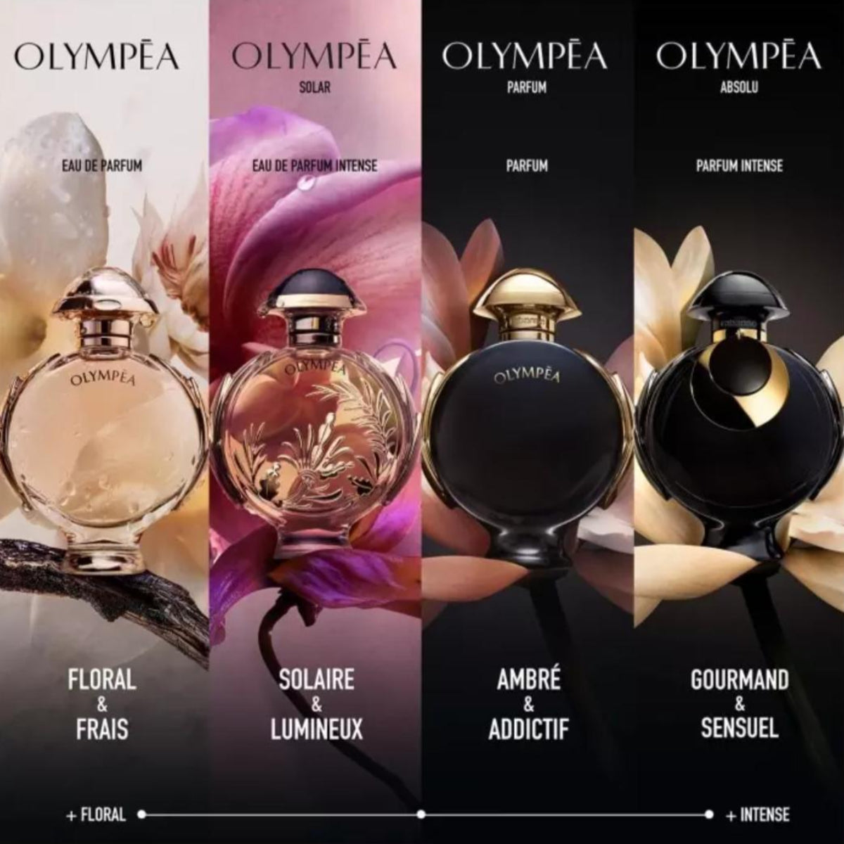 Ladies Olympéa Absolu Parfum Intense – Edgars