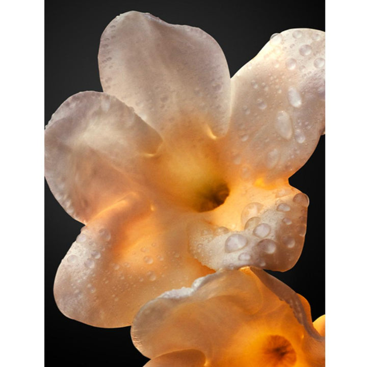 Olympéa Absolu Parfum Intense