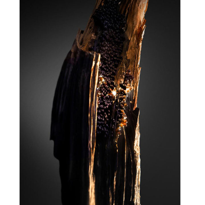 Olympéa Absolu Parfum Intense