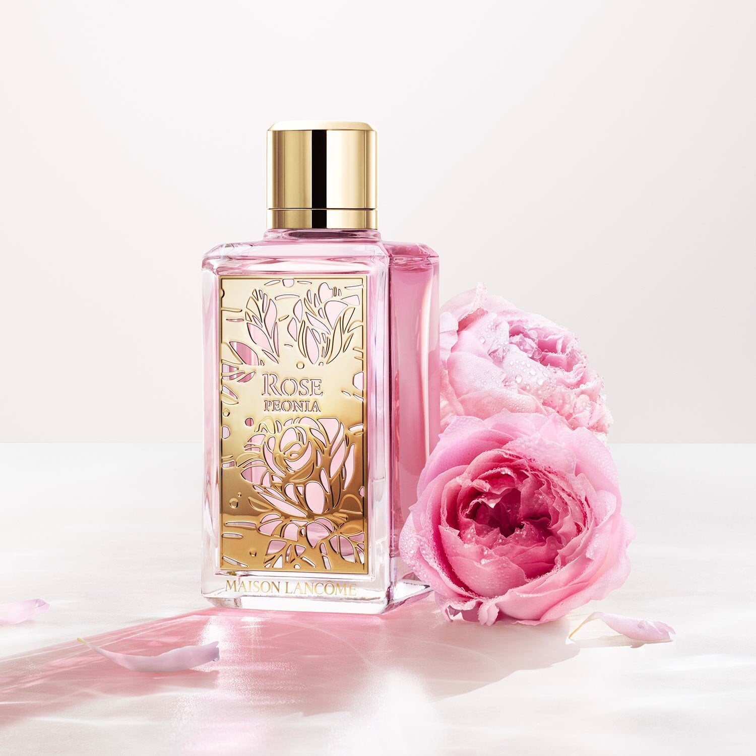 Ladies Maison Rose Peonia Eau De Parfum – Edgars
