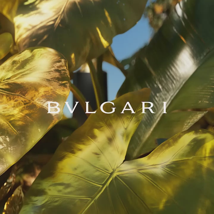 Le Gemme Onekh Eau de Parfum