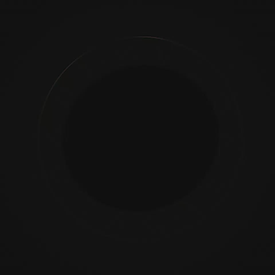 Bvlgari Man In Black Eau de Parfum