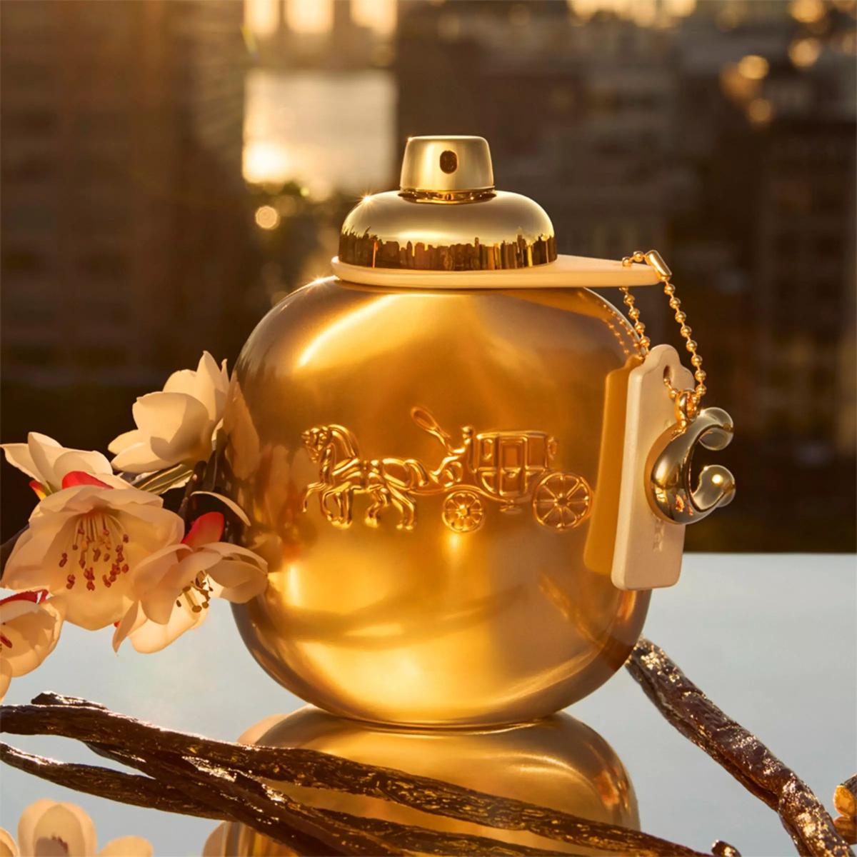 Ladies Coach Gold Parfum – Edgars
