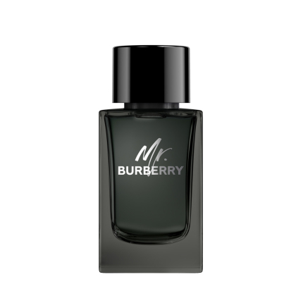 Mr. Burberry Eau de Parfum for Men