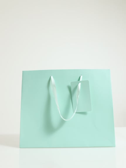 Plain Gift Bag-Small - Mint